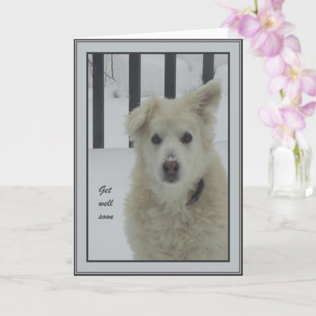 Carte *Sandy Dog - Allez-Vous Bien Bientôt (Orchidée)