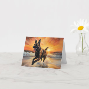 Carte Sandy Paws Chien Malinois Belge sur le coucher du 