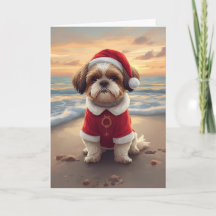 Sandy Paws & Holiday Cheer – Little Beach Santa