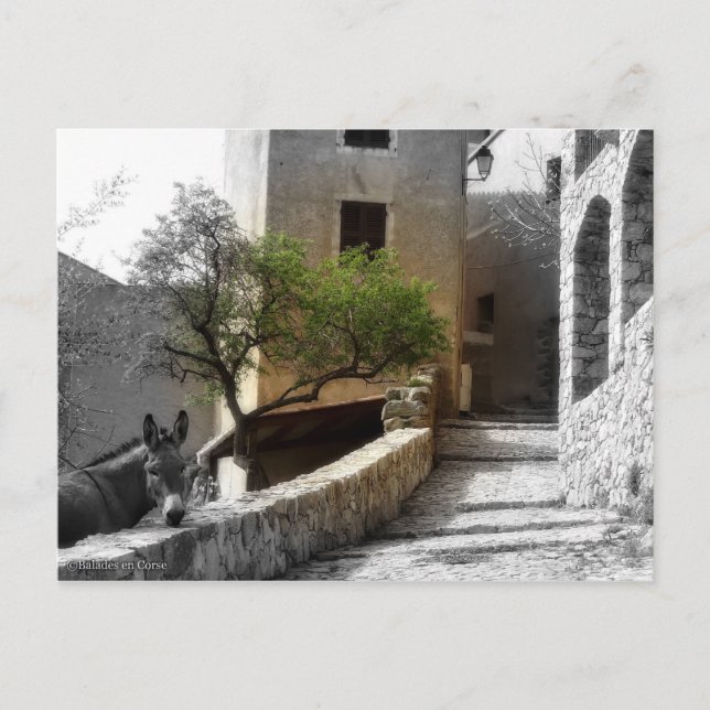 Carte SANT'ANTONINO (Devant)