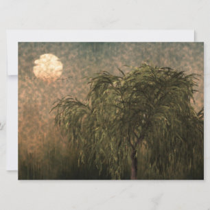 Carte Saule au coucher du soleil