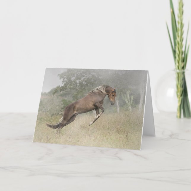 Carte Sauter de cheval (Devant)