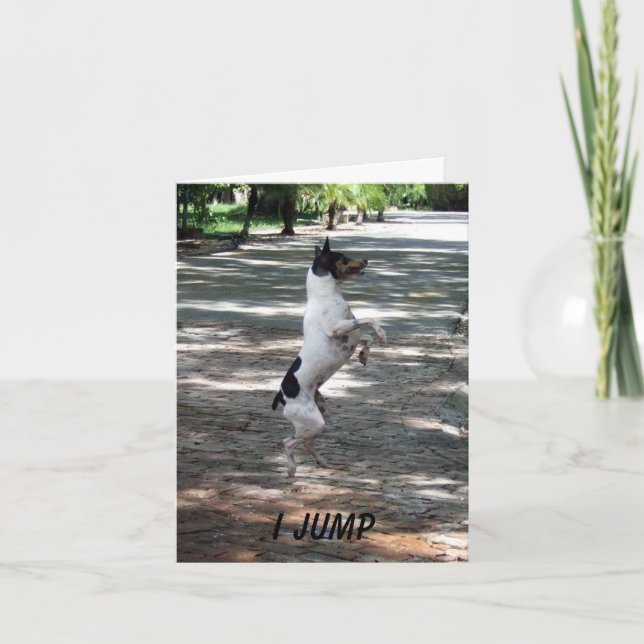 Carte Sautez pour la joie (Devant)