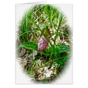 Carte sauvage d'orchidée de Madame pantoufle