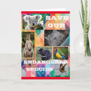 Carte Save