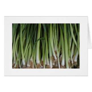 Carte Scallions