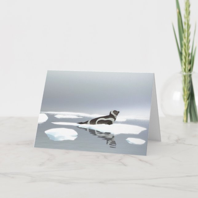 Carte Sceau De Ruban Sur Glace (Devant)