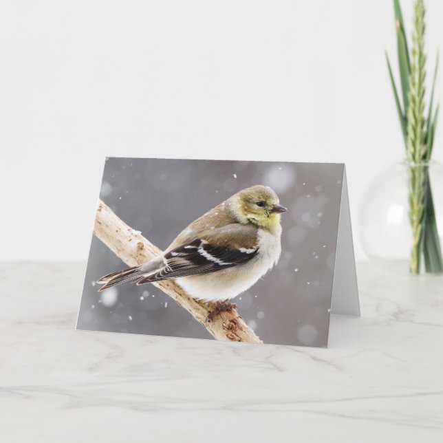 Carte Scène de neige aux oiseaux d'hiver - American Gold (Devant)