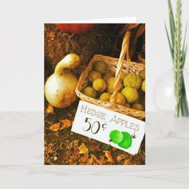 Carte Scène des fruits d'automne (Devant)