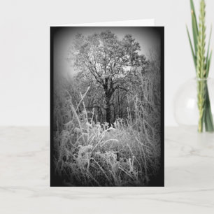 Carte Scène D'Hiver Frosty Noir Et Blanc Toutes Les Occa