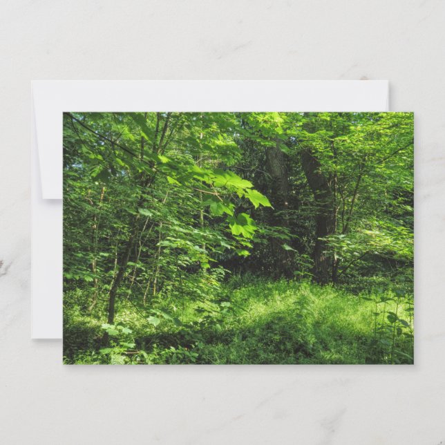 Carte Scène forestière (Devant)