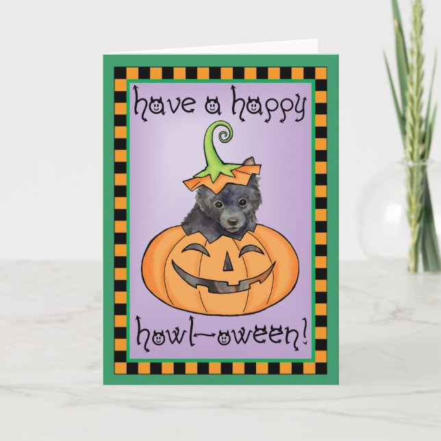 Carte Schipperke Halloween (Devant)