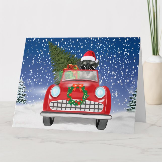Carte Schnauzer au volant d'une voiture dans la neige po (Devant)