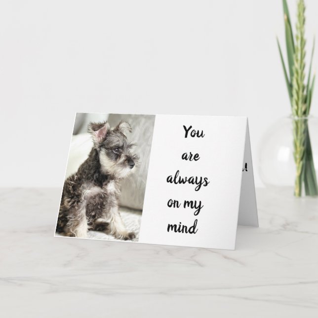 CARTE SCHNAUZER *DÉCLARE L'AMOUR** SUR "LE SOUHAIT DE VA (Devant)
