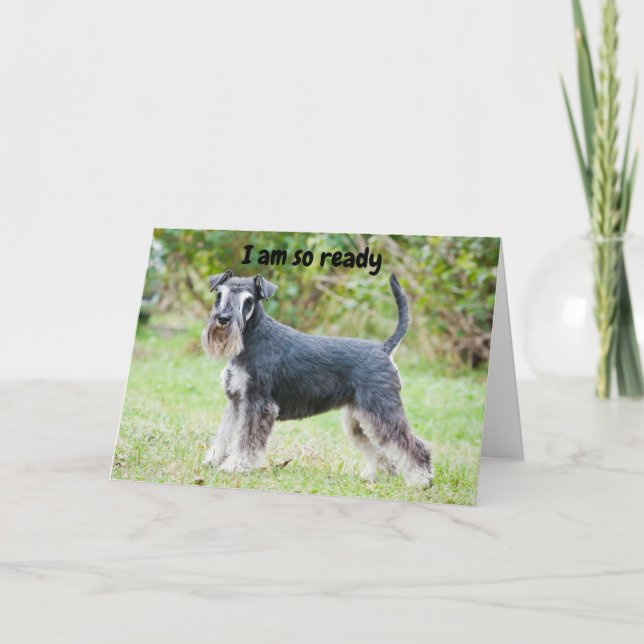 Carte Schnauzer dit "HEUREUX "60ème anniversaire" (Devant)