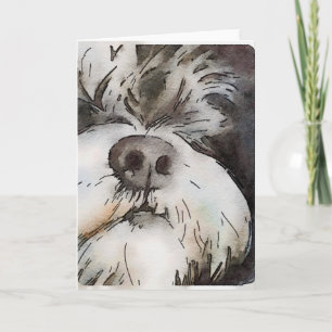 Carte Schnauzer Note