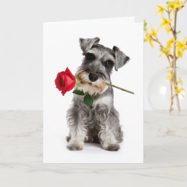 Carte Schnauzer Saint-Valentin – Amour fidèle avec une r (Fleur jaune)