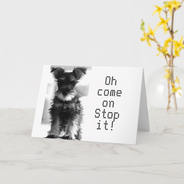 CARTE SCHNAUZER U REGARDE "49" COMMENT POUVEZ-VOUS ÊTRE  (Fleur jaune)