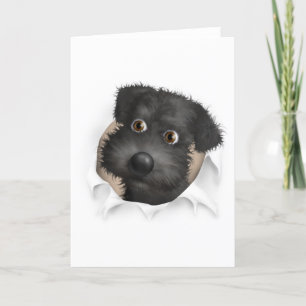 Carte Schnoodle (Noir) sortant