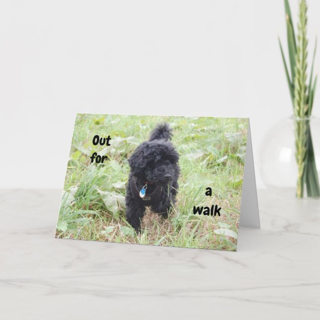 Carte SCHNOODLE PUP DIT HEUREUX 50e ANNIVERSAIRE (Devant)