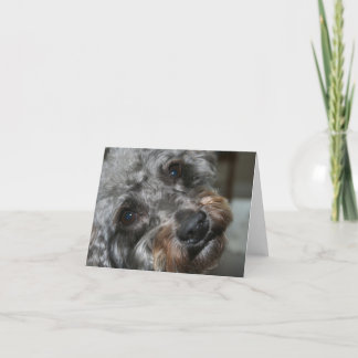 Carte Schnoodle sweetheart