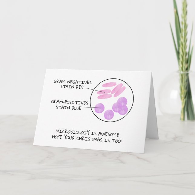 Carte Science Noël Microbiologie Gram Stain Postain Labo (Devant)