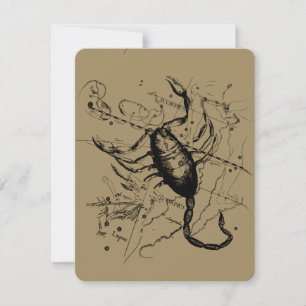 Carte Scorpio Constellation Hevelius 1690 Décor