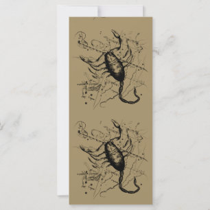 Carte Scorpio Constellation Hevelius 1690 Décor