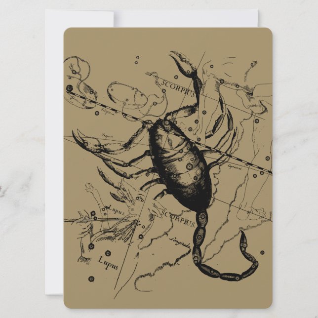 Carte Scorpio Constellation Hevelius 1690 Décor (Devant)