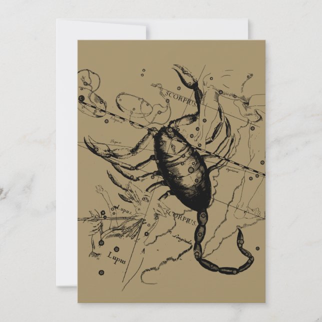 Carte Scorpio Constellation Hevelius 1690 Oct23 - Nov 21 (Devant)