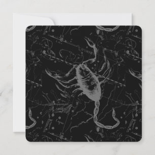 Carte Scorpio Constellation Hevelius 1690 sur Black