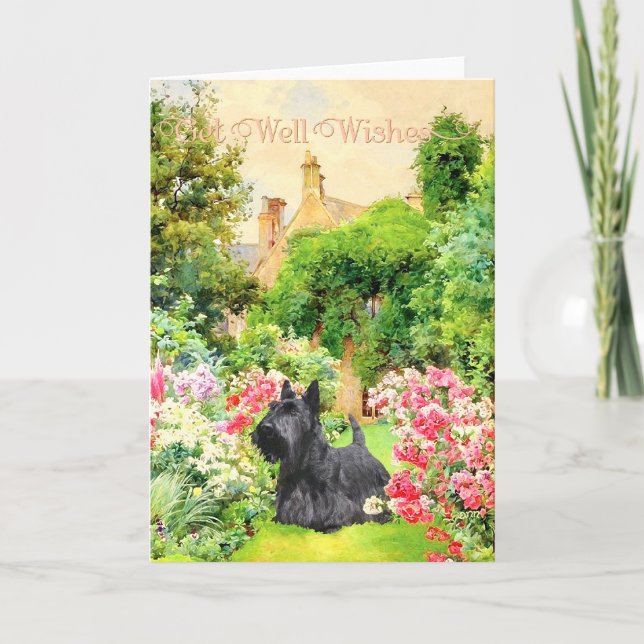 Carte Scottish Terrier Obtenez de bons voeux (Devant)