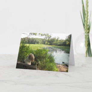 Carte se reflétante d'Emma