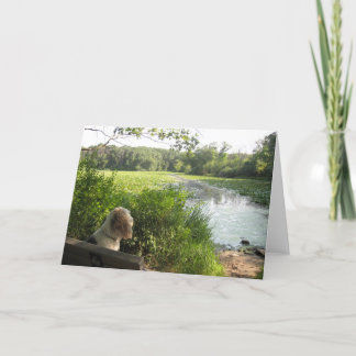 Carte se reflétante d'Emma