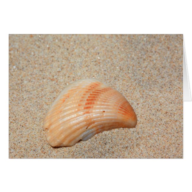 Carte Sea Shell (Devant horizontal)