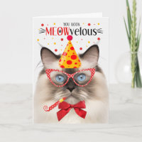 Seal Point Ragdoll Chat MEOWvelous Anniversaire