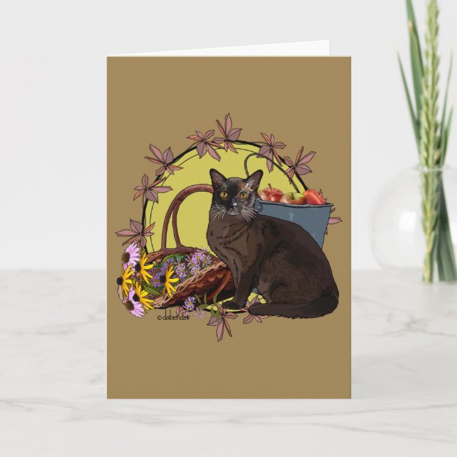 Carte Seasons Cats (Devant)