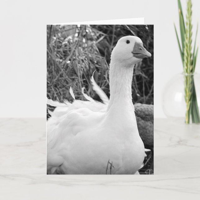 Carte Sebastopol Goose (Devant)