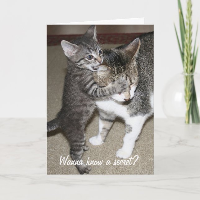 Carte Secret (Devant)