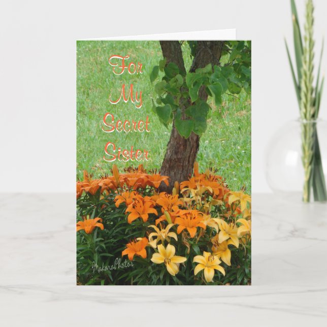 Carte SecretSoeur ou toute personnaliser d'occasion (Devant)