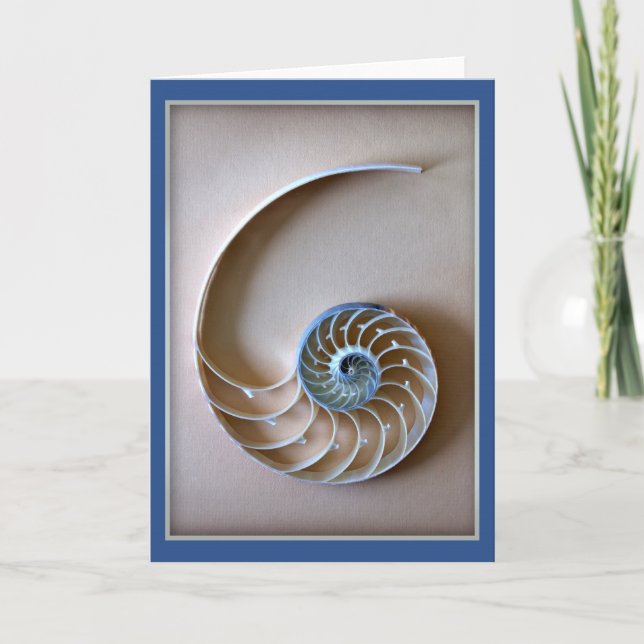 Carte Section Coquille Nautilus (Devant)