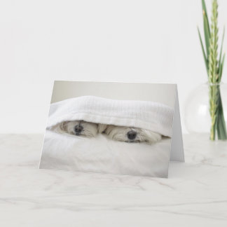 Carte Séjour dans le lit