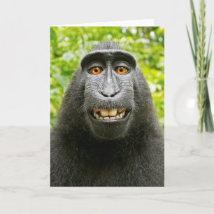 Carte Selfie de singe