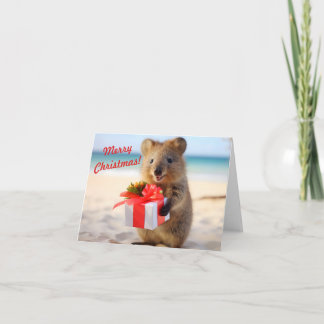 Carte Selfie Quokka à la plage - Noël
