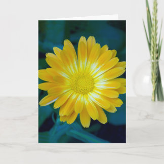 Carte Send Flower to your friends that lasts.