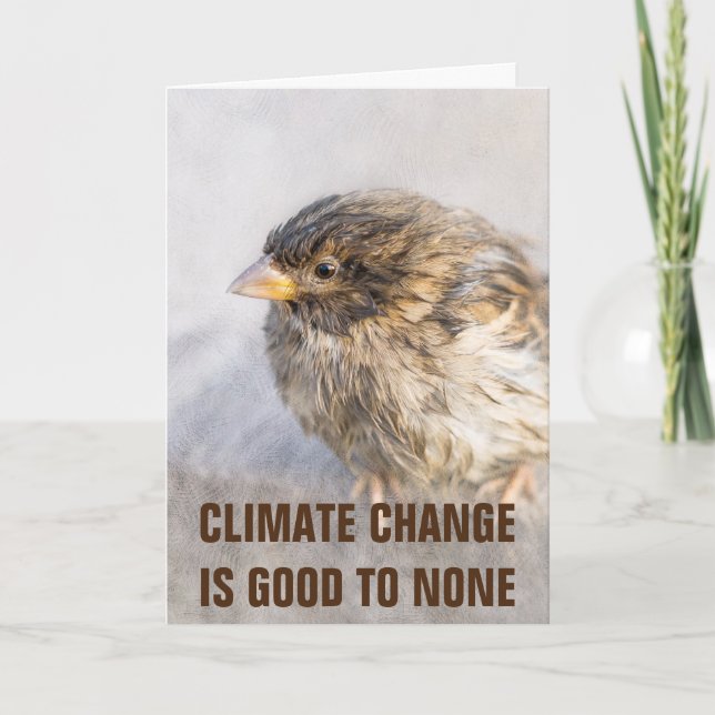 Carte Sensibilisation au changement climatique (Devant)