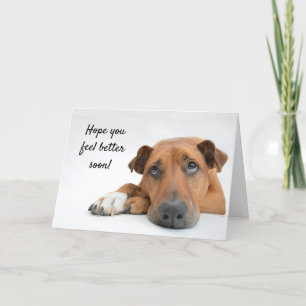 Carte Sentez-vous mieux bientôt Sad Dog Get Well Card