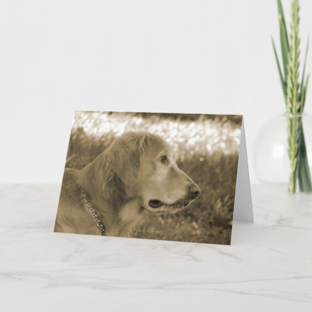 Carte Sepia Golden Retriever (Devant)