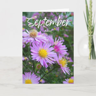 Carte Septembre Purple Yellow Aster Naissance Mois Anniv