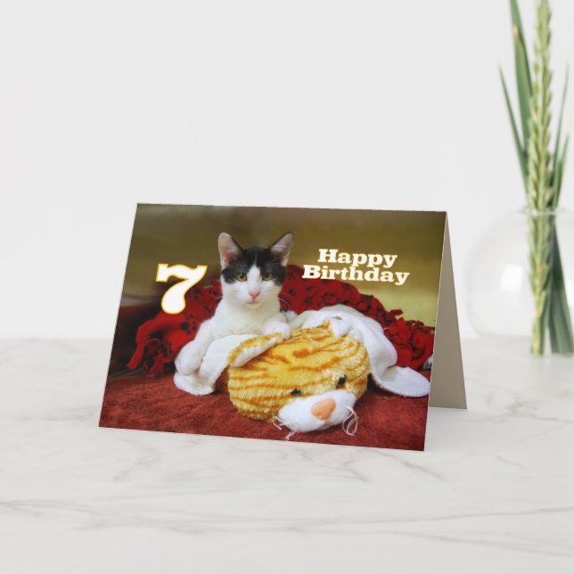 Carte Septième anniversaire Kitten avec Tigre de Jouet (Devant)